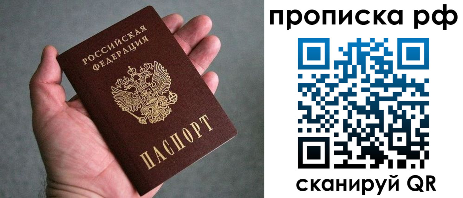 прописка поиск в Лузе